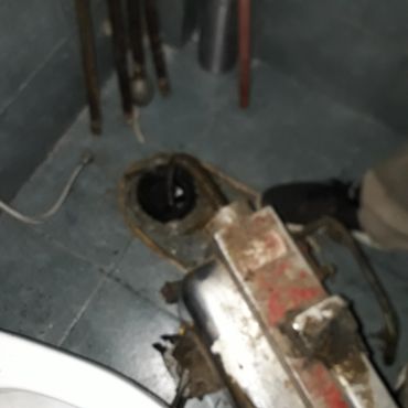 Destapacion de tapa cloacal